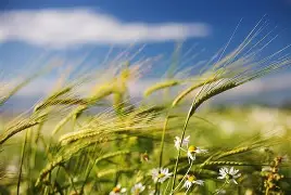 星空体育全站 -维西傈僳族十二脚视频